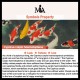 FengShui Jade Koi Fortune Earrings FengShui Jade Koi Fortune Earrings