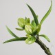 Velvet Mulberry Silk Green Leaf Brooch Hairpin Velvet Mulberry Silk Green Leaf Brooch Hairpin