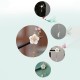 Bauhinia Tassel Wood Hairpin Bauhinia Tassel Wood Hairpin
