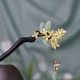 Ebony Osmanthus Tassel Balance Hairpin Ebony Osmanthus Tassel Balance Hairpin