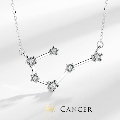 925 Sterling Silver Zodiac 12 Constellations Necklace 925 Sterling Silver Zodiac 12 Constellations Necklace