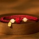 Lucky Snake Year Blessing Snake Protection Bundle