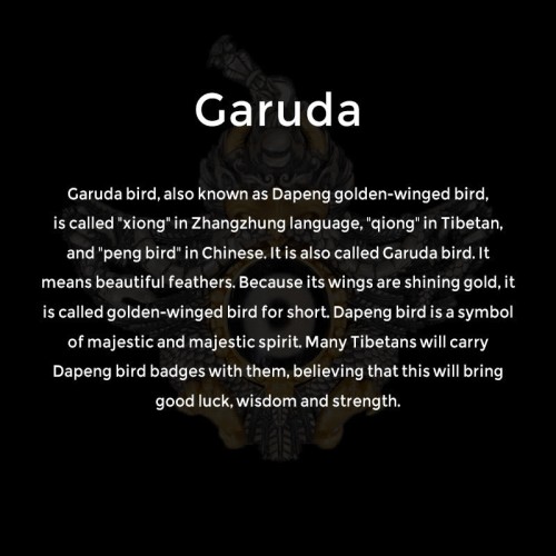 925 Silver Tibet Garuda Dzi Bead Protection Necklace 925 Silver Tibet Garuda Dzi Bead Protection Necklace