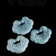 Lotus Carved Jade Ruyi Abundance Pendant Lotus Carved Jade Ruyi Abundance Pendant