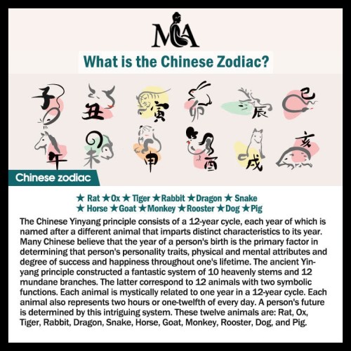 Natural Jade 12 Chinese Zodiac Abundance Amulet Necklace Natural Jade 12 Chinese Zodiac Abundance Amulet Necklace