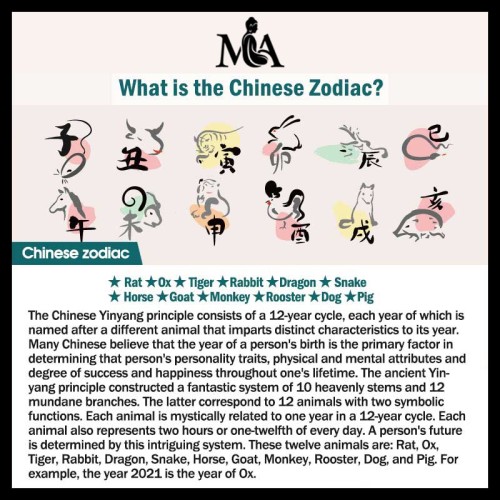 Chinese Zodiac Red Agate Luck Necklace Chinese Zodiac Red Agate Luck Necklace