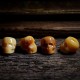Tibetan Camel Bone Skull Protection Necklace