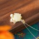 White Jade Lotus Flower Happiness Necklace White Jade Lotus Flower Happiness Necklace