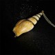 Shankha Conch Shell Lucky Necklace Shankha Conch Shell Lucky Necklace