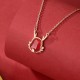 925 Sterling Silver Year of the Dragon Red Agate Necklace 925 Sterling Silver Year of the Dragon Red Agate Necklace