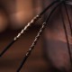 Chinese Character Copper Coin Wealth Necklace Pendant