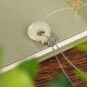 925 Silver Plated Gold Year of the Dragon Jade Necklace 925 Silver Plated Gold Year of the Dragon Jade Necklace