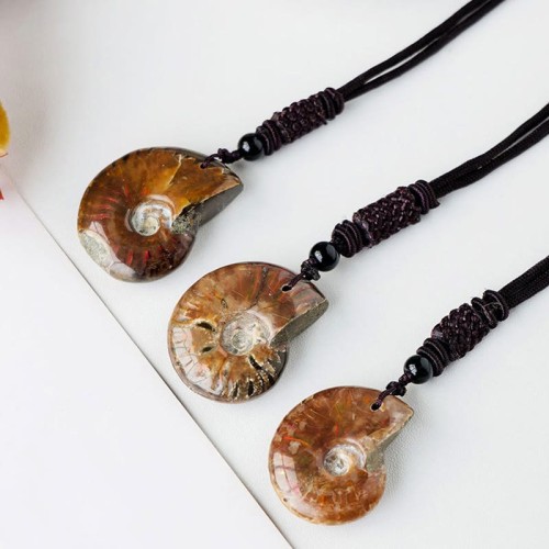 Natural Ammonite Fossil Meditation Healing Necklace Natural Ammonite Fossil Meditation Healing Necklace