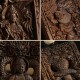 Chinese Zodiac Buddha PiXiu Dragon Peace Necklace Chinese Zodiac Buddha PiXiu Dragon Peace Necklace