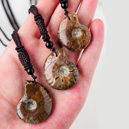 Natural Ammonite Fossil Meditation Healing Necklace Natural Ammonite Fossil Meditation Healing Necklace