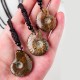 Natural Ammonite Fossil Meditation Healing Necklace Natural Ammonite Fossil Meditation Healing Necklace