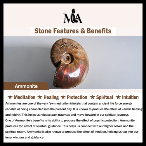 Natural Ammonite Fossil Meditation Healing Necklace Natural Ammonite Fossil Meditation Healing Necklace