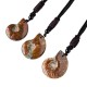 Natural Ammonite Fossil Meditation Healing Necklace Natural Ammonite Fossil Meditation Healing Necklace