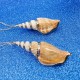 Shankha Conch Shell Lucky Necklace Shankha Conch Shell Lucky Necklace
