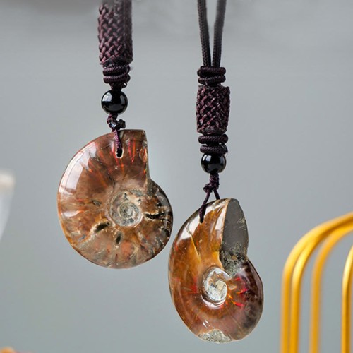 Natural Ammonite Fossil Meditation Healing Necklace Natural Ammonite Fossil Meditation Healing Necklace