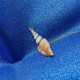 Shankha Conch Shell Lucky Necklace Shankha Conch Shell Lucky Necklace