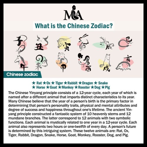 Cinnabar Zodiac Ruyi Fu Lotus Blessing Belly Chain Cinnabar Zodiac Ruyi Fu Lotus Blessing Belly Chain
