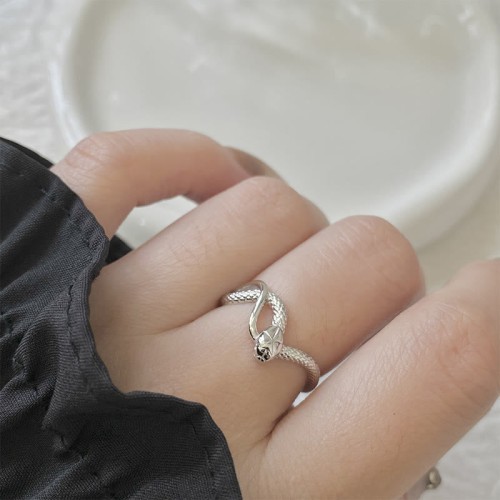 925 Sterling Silver Year of the Snake Calm Ring 925 Sterling Silver Year of the Snake Calm Ring
