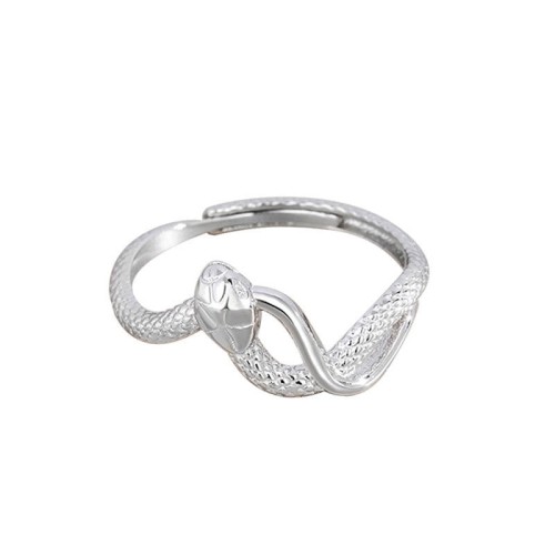 925 Sterling Silver Year of the Snake Calm Ring 925 Sterling Silver Year of the Snake Calm Ring