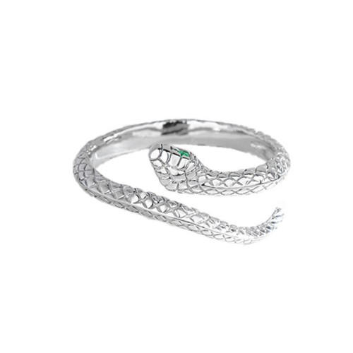 925 Sterling Silver Year of the Snake Protection Ring