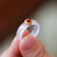 White Agate Cyan Jade Luck Protection Ring White Agate Cyan Jade Luck Protection Ring