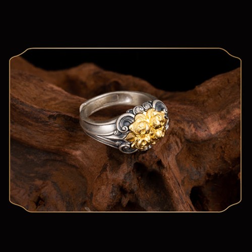 Tibetan Skull Protection Ring Tibetan Skull Protection Ring