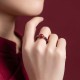 Garnet Cinnabar PiXiu Om Mani Padme Hum Protection Ring