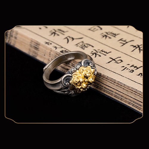 Tibetan Skull Protection Ring Tibetan Skull Protection Ring