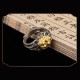 Tibetan Skull Protection Ring Tibetan Skull Protection Ring