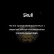 Tibetan Skull Protection Ring Tibetan Skull Protection Ring