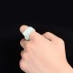 FengShui PiXiu Luck Ring FengShui PiXiu Luck Ring