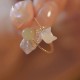 Tridacna Stone Cat Head Blessing Ring Tridacna Stone Cat Head Blessing Ring