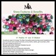 Natural Tourmaline Love Ring