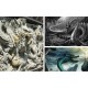 925 Silver Vintage Dragon Protection Ring 925 Silver Vintage Dragon Protection Ring